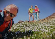 01 Ai Piani dell'Avaro i crocus son ben fioriti !